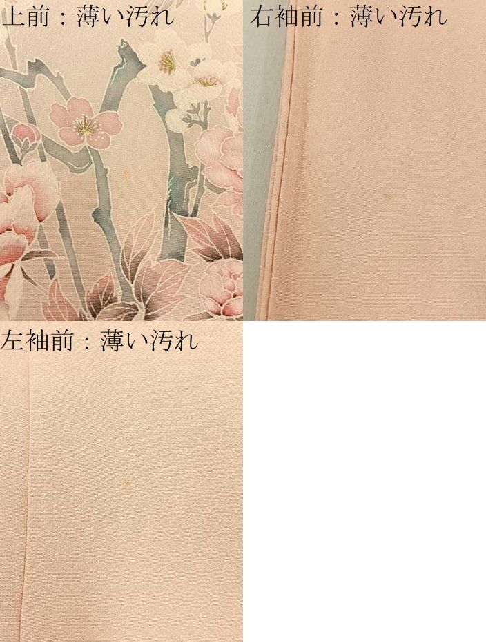 平和屋着物■訪問着 花鳥文 暈し染め ロング丈 正絹 逸品 BAAY8547hj