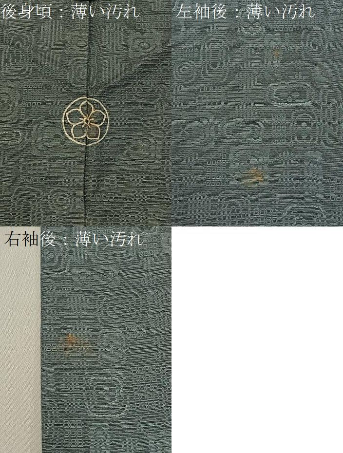 平和屋着物■上質なお召 吉祥文 正絹 逸品 BAAY8621hj
