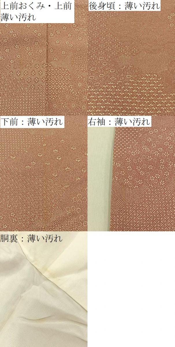 平和屋着物■江戸小紋 作家物 雲取寄せ小紋柄 正絹 逸品 BAAY8801hj