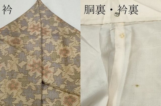 平和屋着物■上質なお召 草花文 逸品 CAAH4662yc