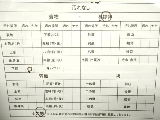 平和屋着物■長襦袢 袷 舞花地紋 暈し染め 正絹 逸品 CAAM6448gh