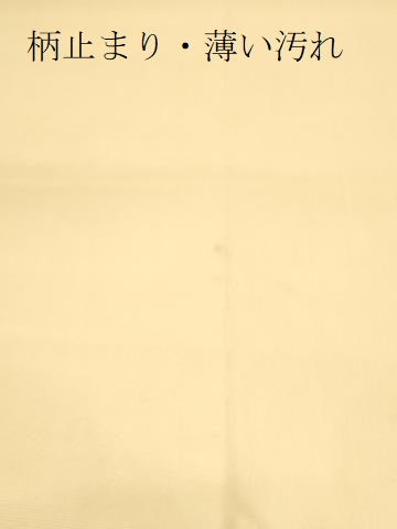 平和屋着物*夏物 六通柄袋帯 笹文 金糸 正絹 逸品 CAAQ3519eg