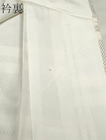 平和屋着物●本場大島紬 白大島 100亀甲 横段文 正絹 逸品 CAAQ9170vf