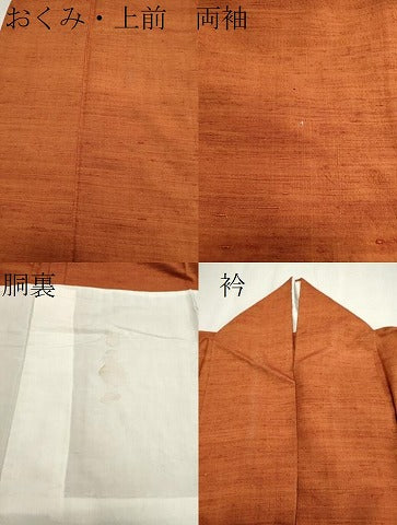 平和屋着物●上質な紬 霞文 胴抜き仕立て 正絹 逸品 CAAR6508ze