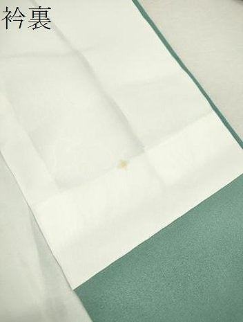 平和屋着物●訪問着 手描き 水玉 草花文 暈し染め 正絹 逸品 未使用 CAAR6564ze