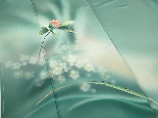平和屋着物●訪問着 手描き 水玉 草花文 暈し染め 正絹 逸品 未使用 CAAR6564ze