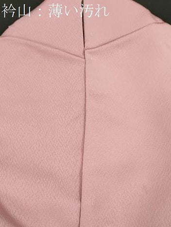 平和屋着物■豪華色留袖 風景地紋 珊瑚色 正絹 逸品 CAAR7019dy
