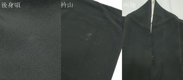 平和屋着物●豪華黒留袖 友禅 作家物 遠山風景文 正絹 逸品 CAAS9235th