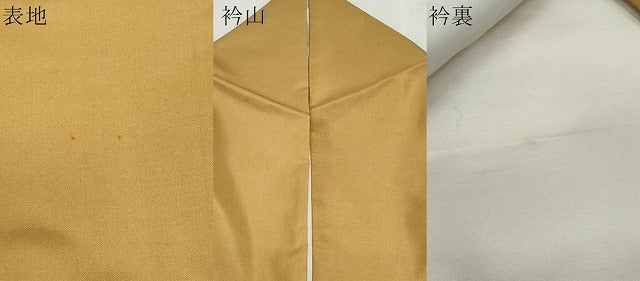 平和屋着物●訪問着 本場染大島紬 南天文 正絹 逸品 CAAS9364th