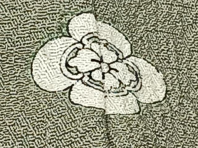 平和屋着物▽上質な色無地 単衣 草花地紋 深川鼠色 正絹 逸品 CAAU3801xi