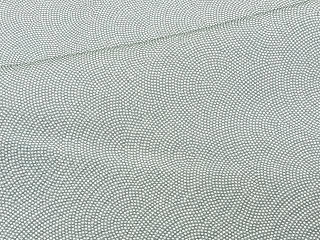 平和屋着物▽江戸小紋 単衣 鮫小紋柄 正絹 逸品 未使用 CAAU3888xi
