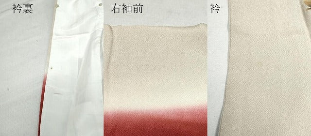 平和屋着物●訪問着 枝花文 金彩 鬼しぼ縮緬 正絹 逸品 CAAV6611vf