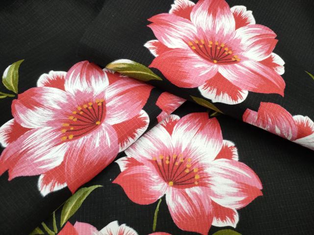 平和屋着物∴夏物 浴衣 綿紅梅 舞花文 黒地 綿 逸品 CAAW1064ng