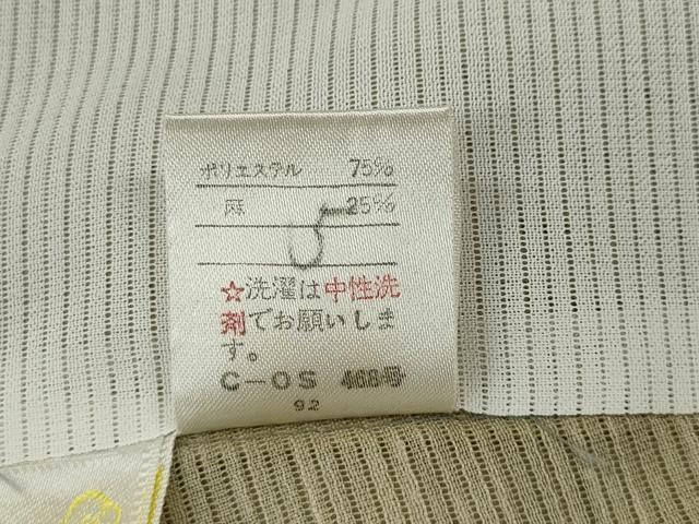 平和屋着物*夏物 訪問着 絽 手描き メダカ CAAW3131ut