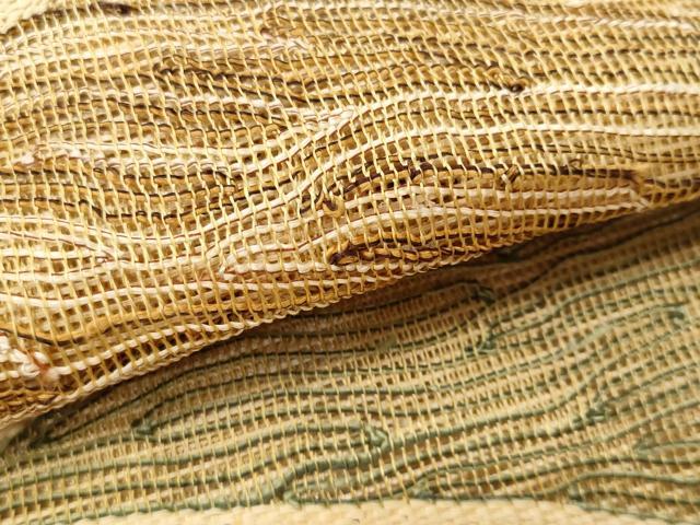 平和屋着物*夏物 八寸名古屋帯 抽象文 正絹 逸品 CAAW6922fb