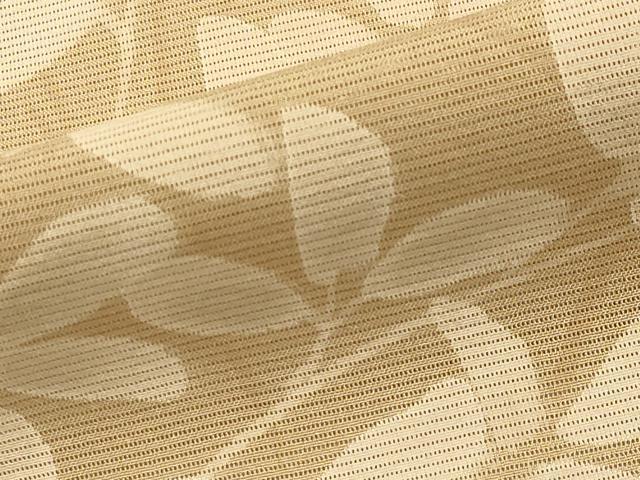 平和屋着物*夏物 訪問着 絽 草花文 正絹 逸品 CAAW9919gh