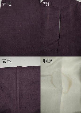 平和屋着物●上質な紬 滅紫色 正絹 逸品 CAAX4624ut
