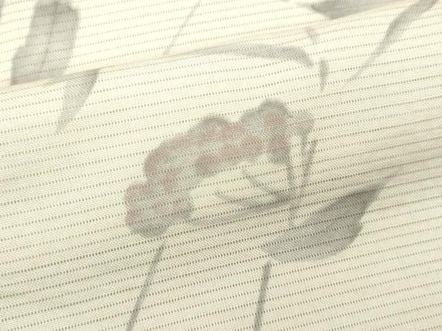 平和屋着物*夏物 小紋 絽 手描き 枝花文 洗える着物 CAAX6256ze