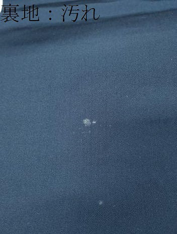 平和屋着物●六通柄袋帯 唐織 藤に蝶 金糸 正絹 逸品 CAAX9531yk