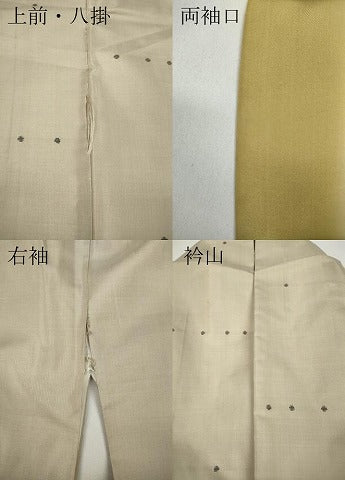 平和屋着物●東郷織物謹製 本場大島紬 横段丸文 正絹 逸品 CAAY4992ut