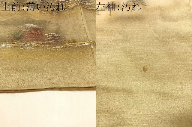 平和屋着物■訪問着 京名所風景文 暈し染め 金銀彩 正絹 逸品 CAAZ2399vp
