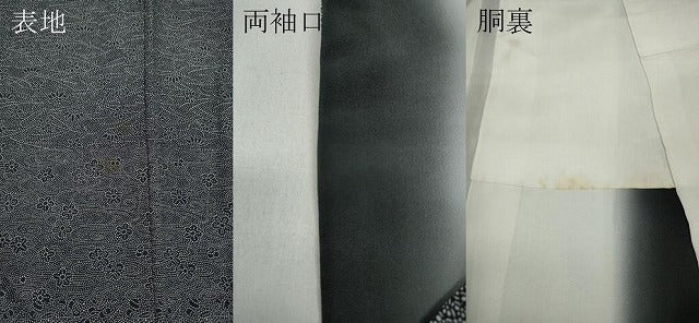 平和屋着物●訪問着 江戸小紋 横段吉祥草花文 黒地 正絹 逸品 CAAZ2500ut