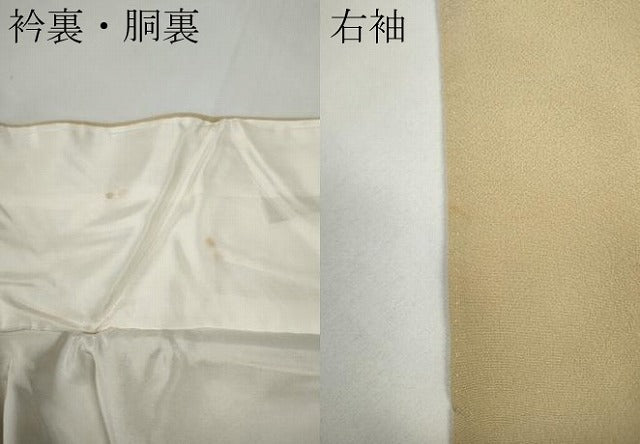 平和屋着物●豪華色留袖 駒刺繍 雪芝草花文 金彩 正絹 逸品 CAAZ2549ut