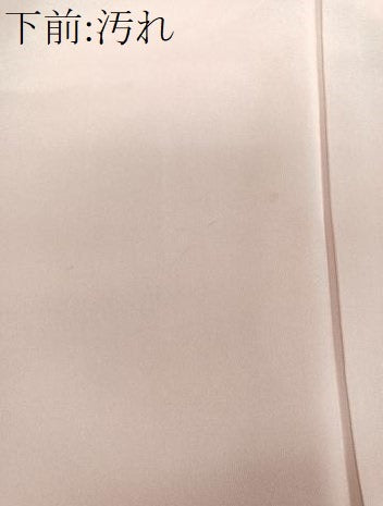 平和屋着物■訪問着 短冊風景花文 暈し染め 金銀彩 正絹 逸品 CAAZ9559xi