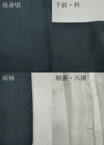 平和屋着物●訪問着 総刺繍 駒刺繍 松文 正絹 逸品 CABA1650ut