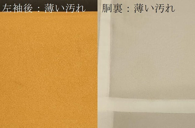平和屋着物■訪問着 草花文 暈し染め 金彩 洗える着物 CABA2918in
