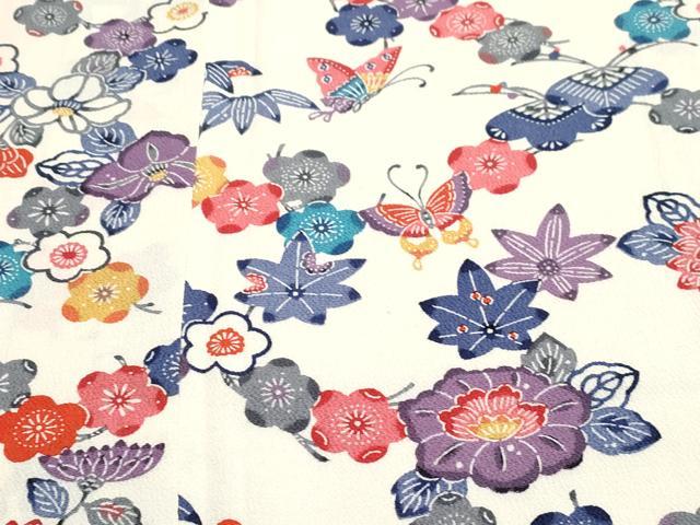 平和屋着物●上質な小紋 紅型 花蝶文 鬼しぼ縮緬 正絹 逸品 CABA8890dy
