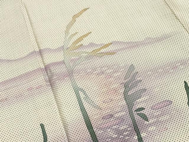平和屋着物●訪問着 本場大島紬 白大島 作家物 手描き 流水草木文 暈し染め 正絹 逸品 CABB0020gh