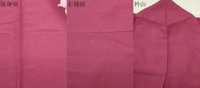 平和屋着物●豪華振袖 舞花文 暈し染め 金彩 正絹 逸品 CABB0386gh