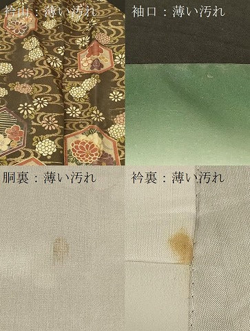 平和屋着物■小紋 流水亀甲花間道 金彩 洗える着物 CABB1296in