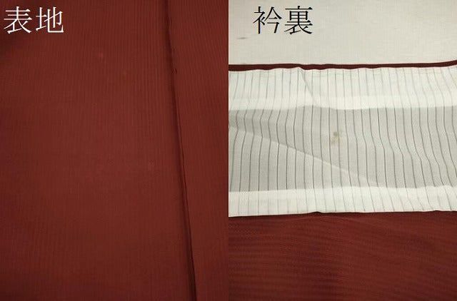 平和屋着物*夏物 訪問着 色無地 亀甲草花紋紗 錆色 正絹 逸品 CABB2238ze