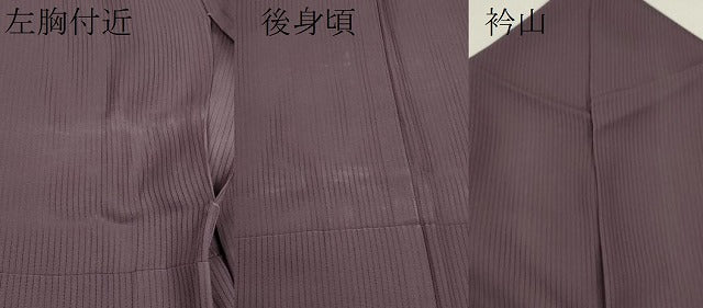 平和屋着物*夏物 色無地 縦絽 滅紫色 正絹 逸品 CABB2322ze