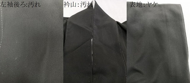 平和屋着物■豪華黒留袖 飛鶴風景文 暈し染め 金彩 正絹 逸品 CABB2433xi