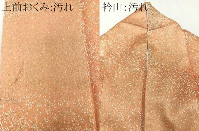 平和屋着物■上質な小紋 霞文 正絹 逸品 CABB8714xi
