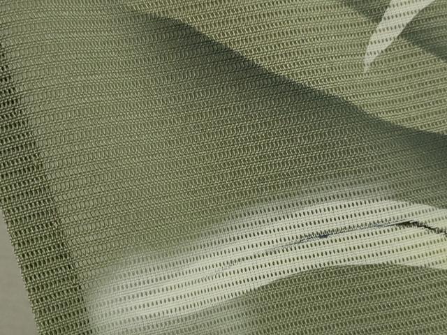 平和屋着物*夏物 訪問着 絽 トンボ 草木文 暈し染め 正絹 逸品 CABB9799ze