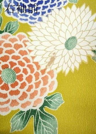 平和屋着物●小紋 菊 洗える着物 CABC2100ut
