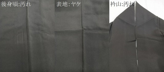 平和屋着物■豪華黒留袖 駒刺繍 流水枝松文 金彩 正絹 逸品 CABC5821xi