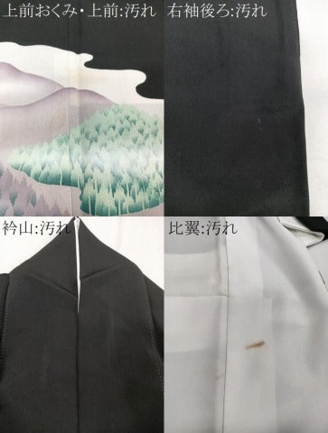 平和屋着物■豪華黒留袖 風景文 正絹 逸品 CABC5928xi