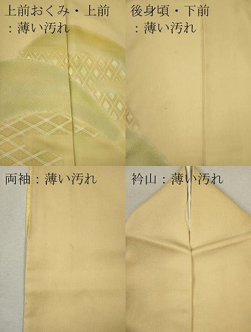平和屋着物■訪問着 地文起こし 遠山文 暈し染め 正絹 逸品 CABC7721ou