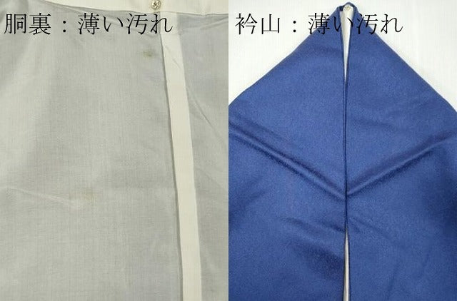 平和屋着物■訪問着 枝松双鳥文 金彩 正絹 逸品 CABC7765ou
