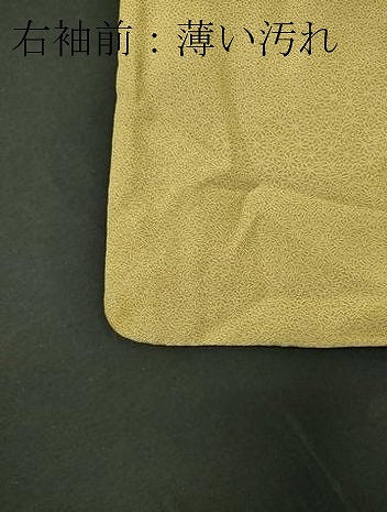 平和屋着物■江戸小紋 寄せ小紋柄 正絹 逸品 CABC7887ou