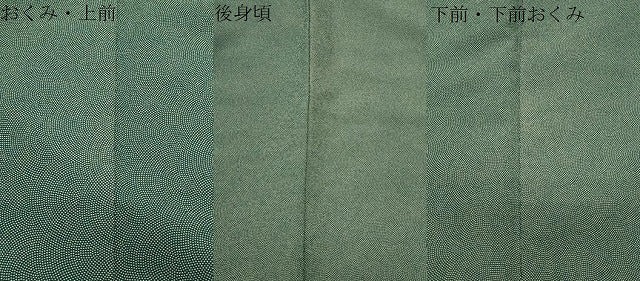 平和屋着物●江戸小紋 鮫小紋柄 洗える着物 CABC8290gh