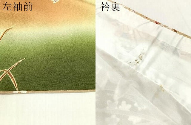 平和屋着物●訪問着 草花文 暈し染め 金彩 正絹 逸品 CABC9615vp