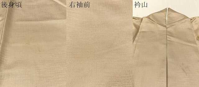 平和屋着物●訪問着 刺繍 松皮菱藤花松文 暈し染め 金銀彩 正絹 逸品 CABC9793vp