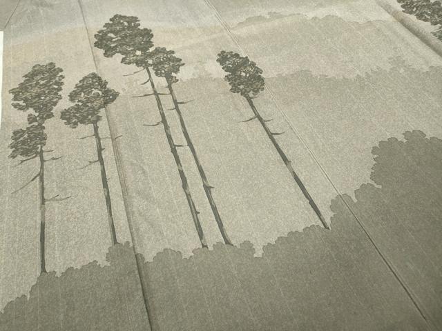 平和屋着物●訪問着 本場染大島紬 草木文 藤絹織物謹製 証紙付き 正絹 逸品 CABD0011ut