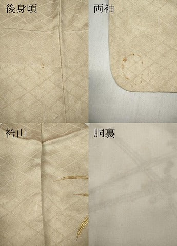 平和屋着物●訪問着 流水草花文 金銀彩 正絹 逸品 CABD0342ut